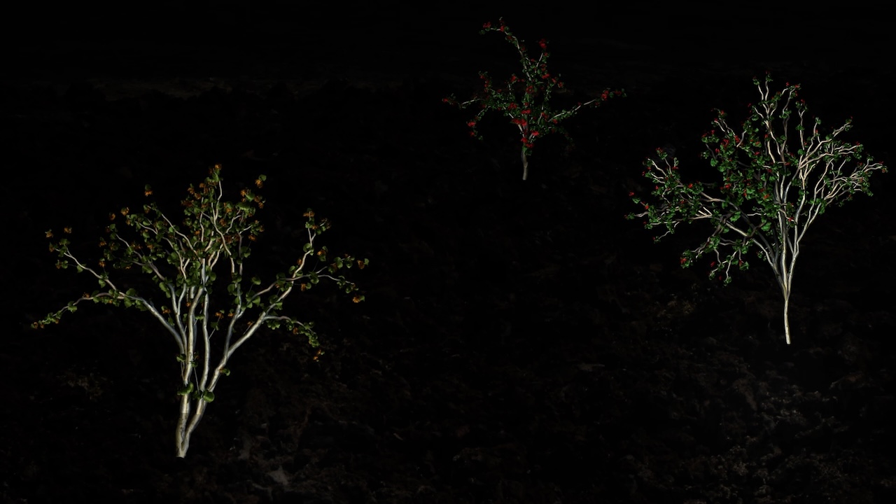 Biophilia